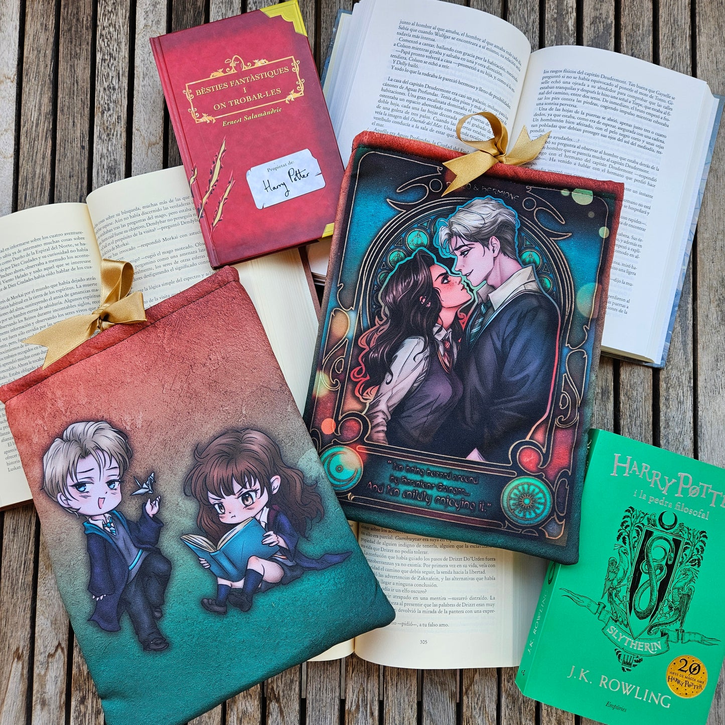 Book Sleeve Dramione